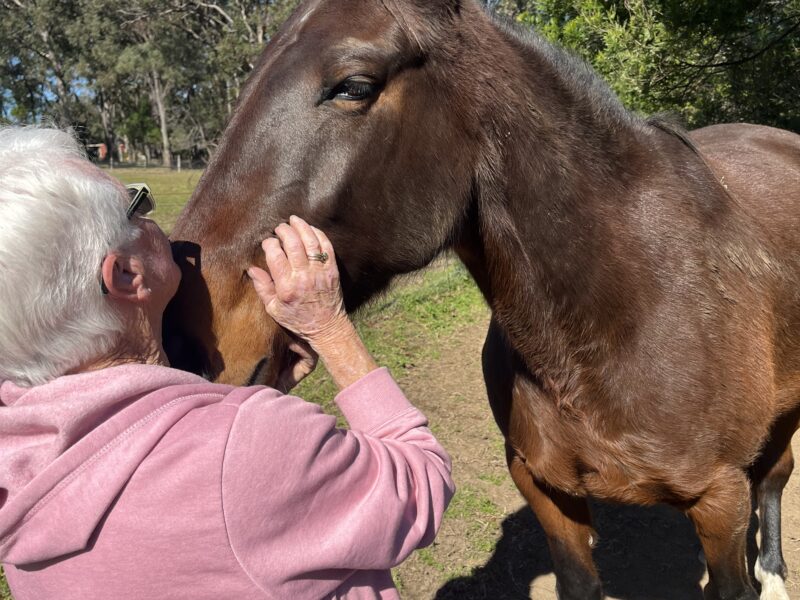Hooves For Hope Equine Assisted Therapy