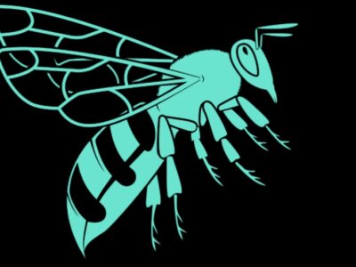 Bee’s Recycling Haulage