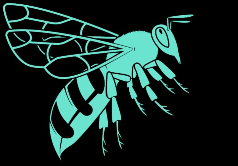 Bee’s Recycling Haulage